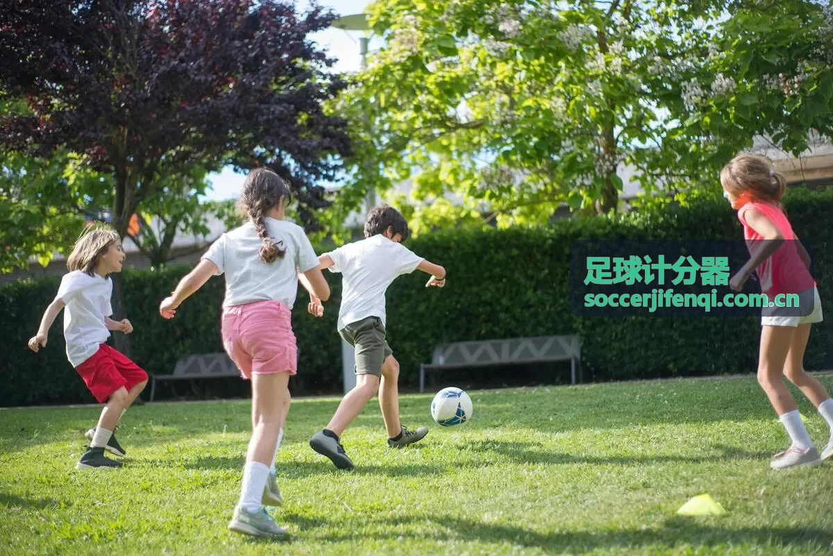 足球计分器训练统计新增射门热区功能